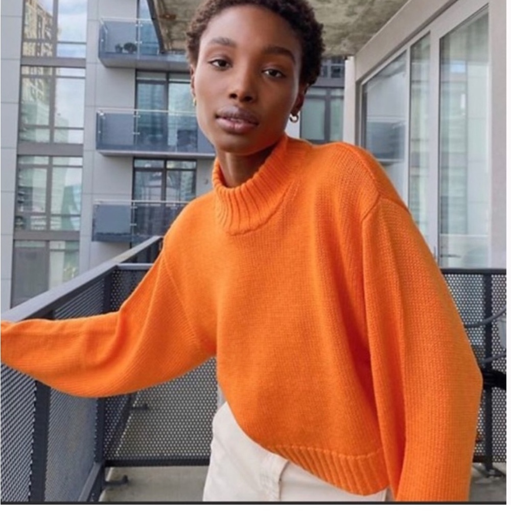 Aritzia Heinen orange sweater